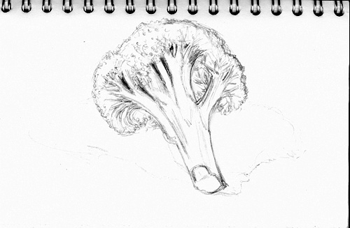 0104a-broccoli.jpg