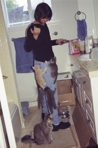 rushfood.jpg